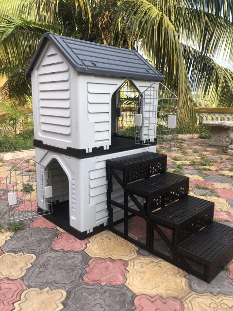 Dog House