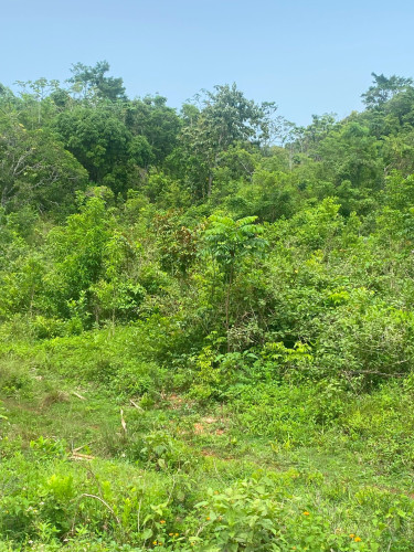 5 Acres Of Land