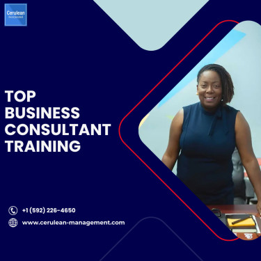Top Business Consultant Training | Cerulean Manage