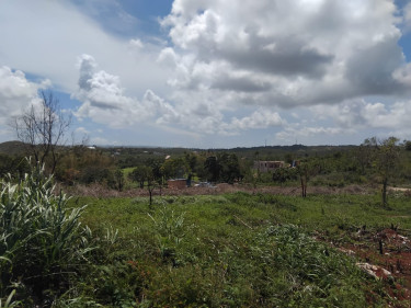 Pristine And Peaceful Hill Top Land Available!