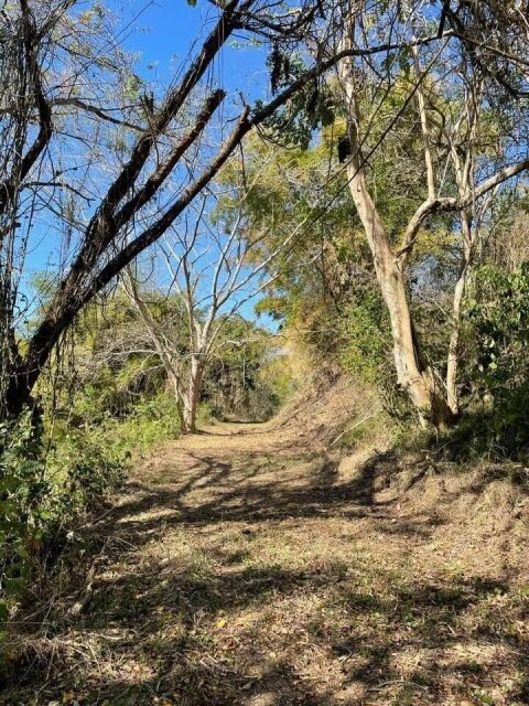 11 Acre Hill Top Gentle Slope To River