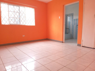 2 Bedrooms 2 Bathrooms For Rent Mandeville