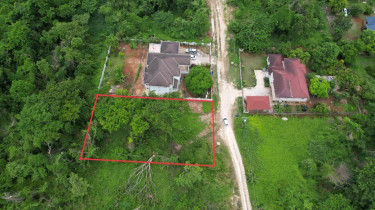 0.31 Land For Sale Duncan’s Bay Trelawny 