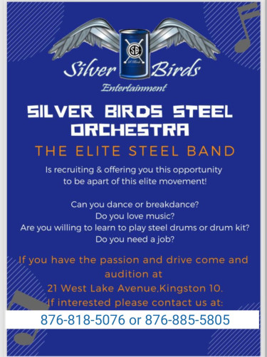 Silver Birds Steel Orchestra 