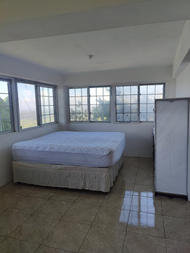 Furnished 1 Bedroom Studio