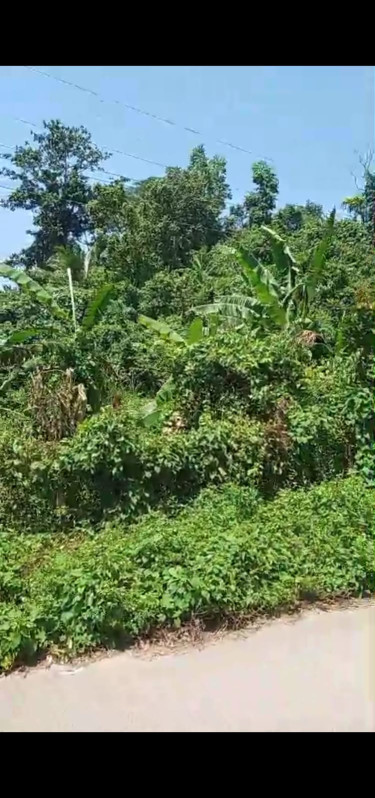 1/2 Acre Land