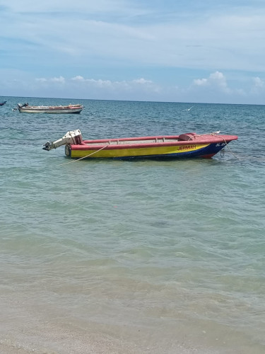 20ft Boat & 40 Hp Johnson Engine