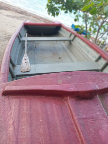 20ft Boat & 40 Hp Johnson Engine