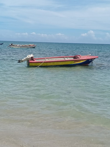 20ft Boat & 40 Hp Johnson Engine