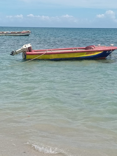 20ft Boat & 40 Hp Johnson Engine