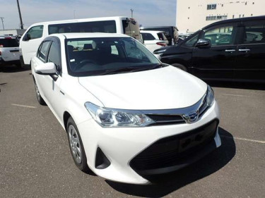 2019 Corolla Axio