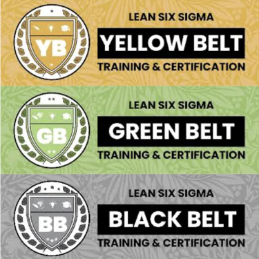 Online Certification Training In Lean-Six-Sigma 