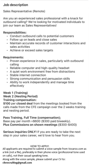 Remote Sales Representative