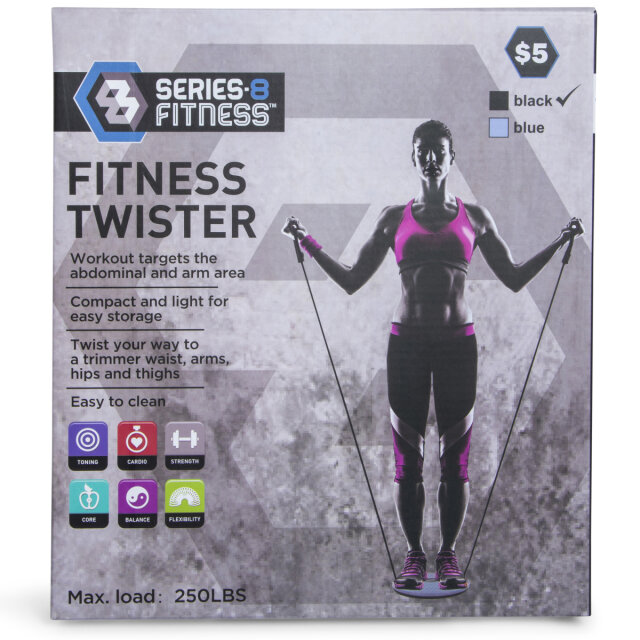 Mini Stepper And Fitness Twister