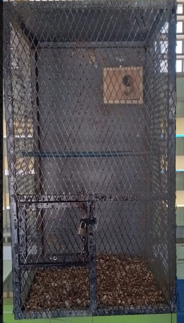 Metal Bird Cage