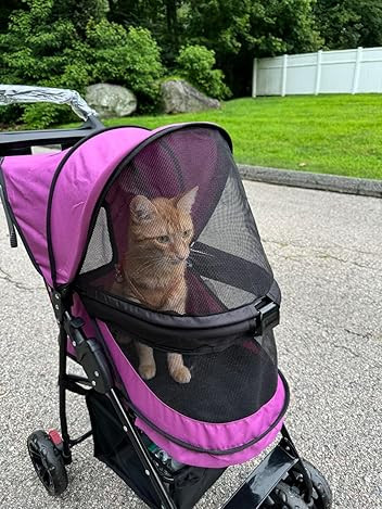 Petgear Stroller For Dogs/cats