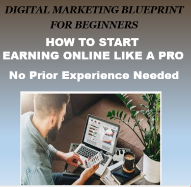 Earn Upwards Of USD$300/day - Digital Marketing