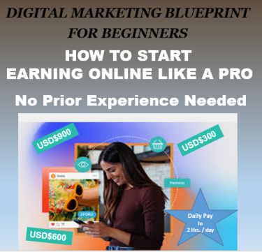 Beginners Learn Digital Marketing-Earn USD$300/day