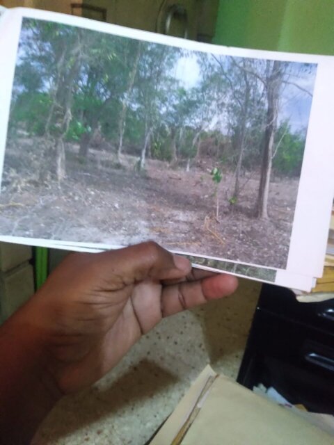 1 Acre Land Negril