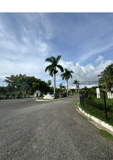 1/4 Acres, Twin Palm Estate Clarendon 