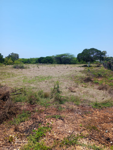 3 Acres Of Land In Lennon Hill/Treasure Beach 