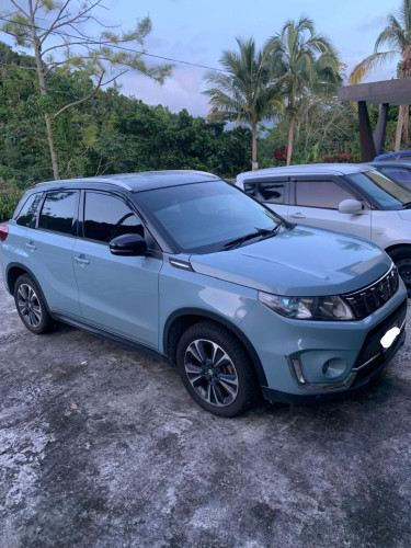 2019 Suzuki Vitara 2019