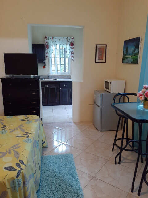 FURNISHED 1 Bedroom Apt For Rent (ST ANN!!)