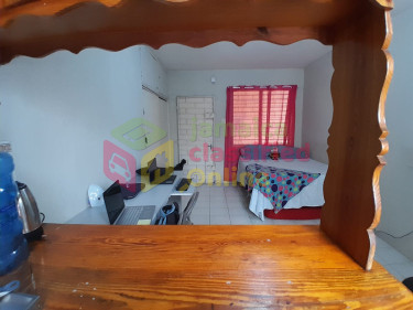 1 Furnished STUDIO Apartment