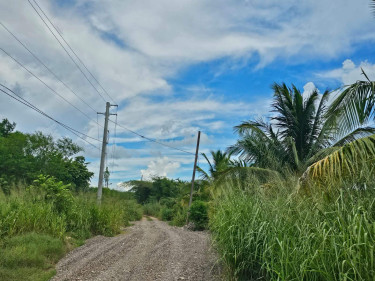 5 Acres Of Farmland