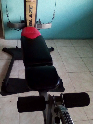 BowFlex Blaze Home Gym