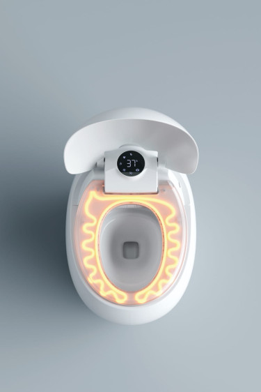 Smart Toilet