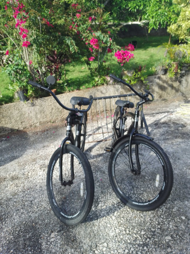 (2) Genesis 29 Beach Cruiser, (1) Hardrock MTB 