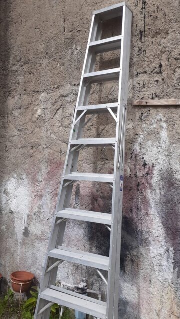 Ladder