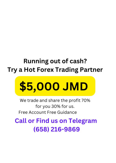 Hot Forex Trading Jamaica 