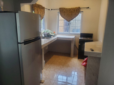 1 Bedroom (Female College Student Only)