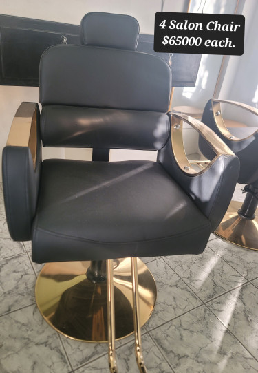 SALON CHAIR