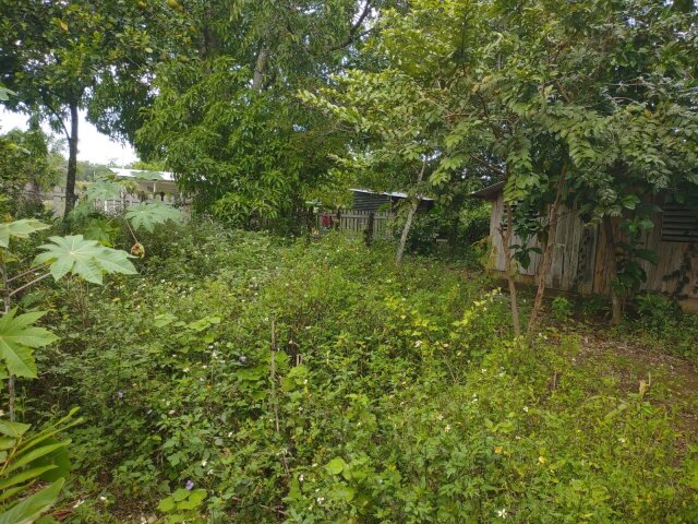 2 Bedroom House On 1 Acre Land