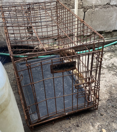 Old Dog Cage For Sale 