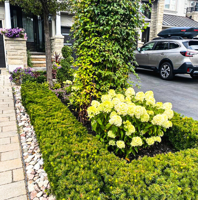 Landscaping Services Based In St Thomas