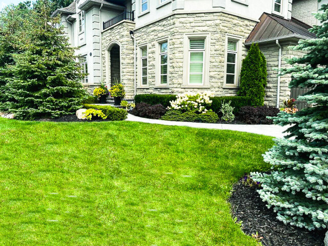 Landscaping Services Based In St Thomas