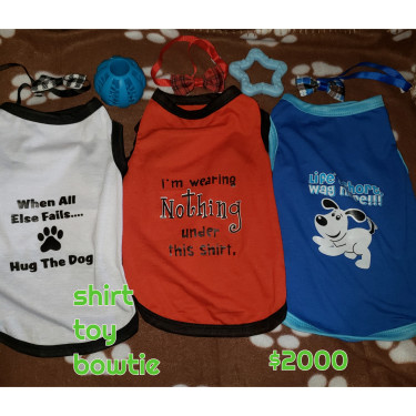 Dog Supplies: Crates, Travel Bags, Toys, Shirts 