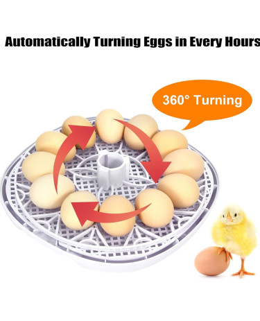 12-Egg Incubator / Automatic Egg Turner