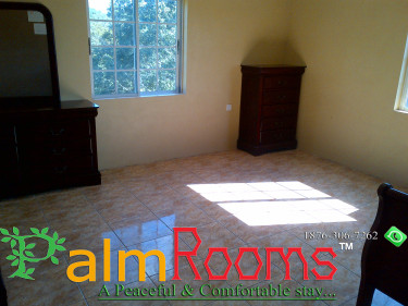 1 Bedroom + 1 Bathroom (furnished) - Coming Soon