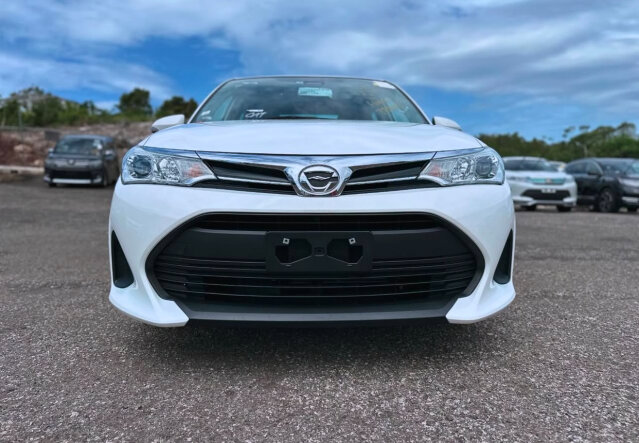 2019 TOYOTA AXIO