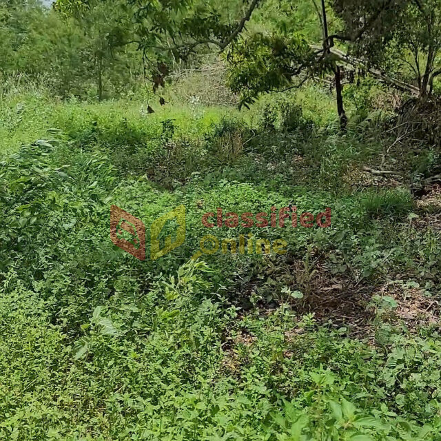 Over 1 Acre Of Land For Sale In Nain St Elizabeth
