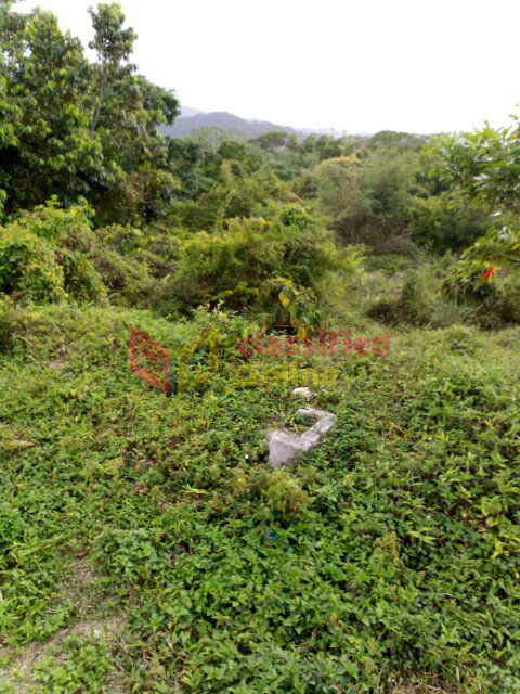 1Acre Land