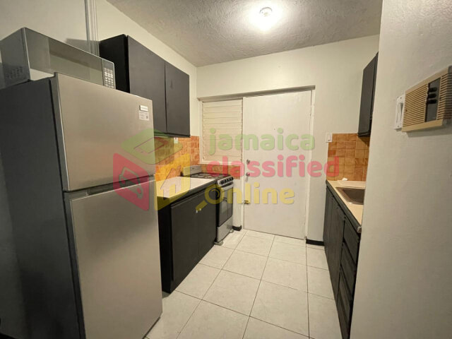 New Kingston Area 1 Bedroom Furnished Apartment
