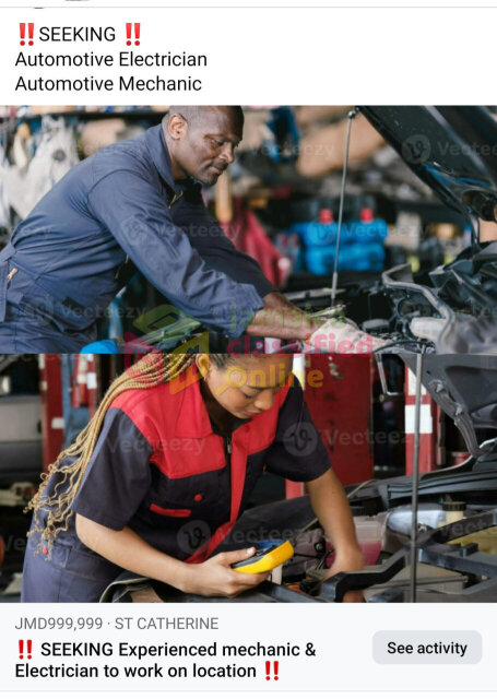 Experienced Automotive Mechanic