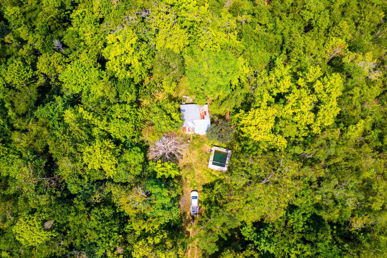 John Dandy, Four Paths: Just Over 10 Acres Of Land