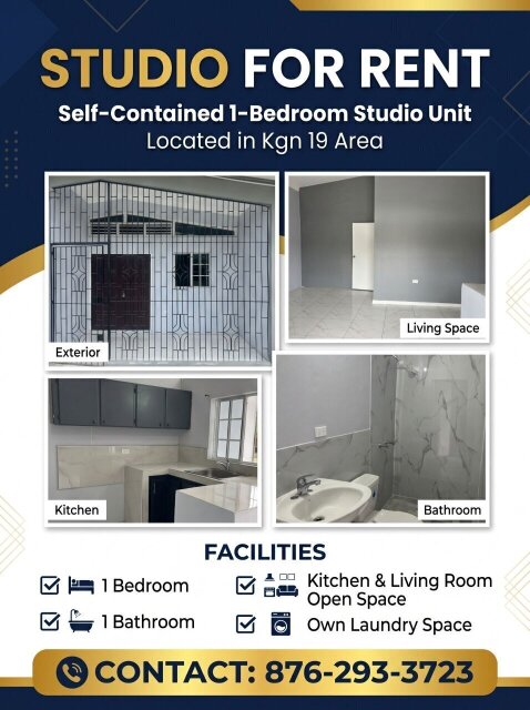 Centrally Located 1 Bedroom Studio Apt In Kingston